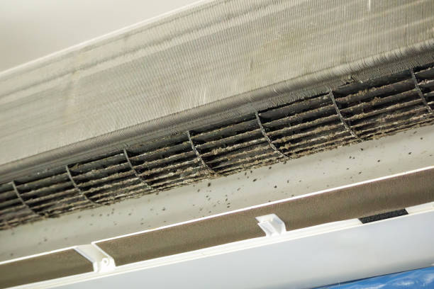 Best Air Duct Cleaning Cost  in Heber, CA